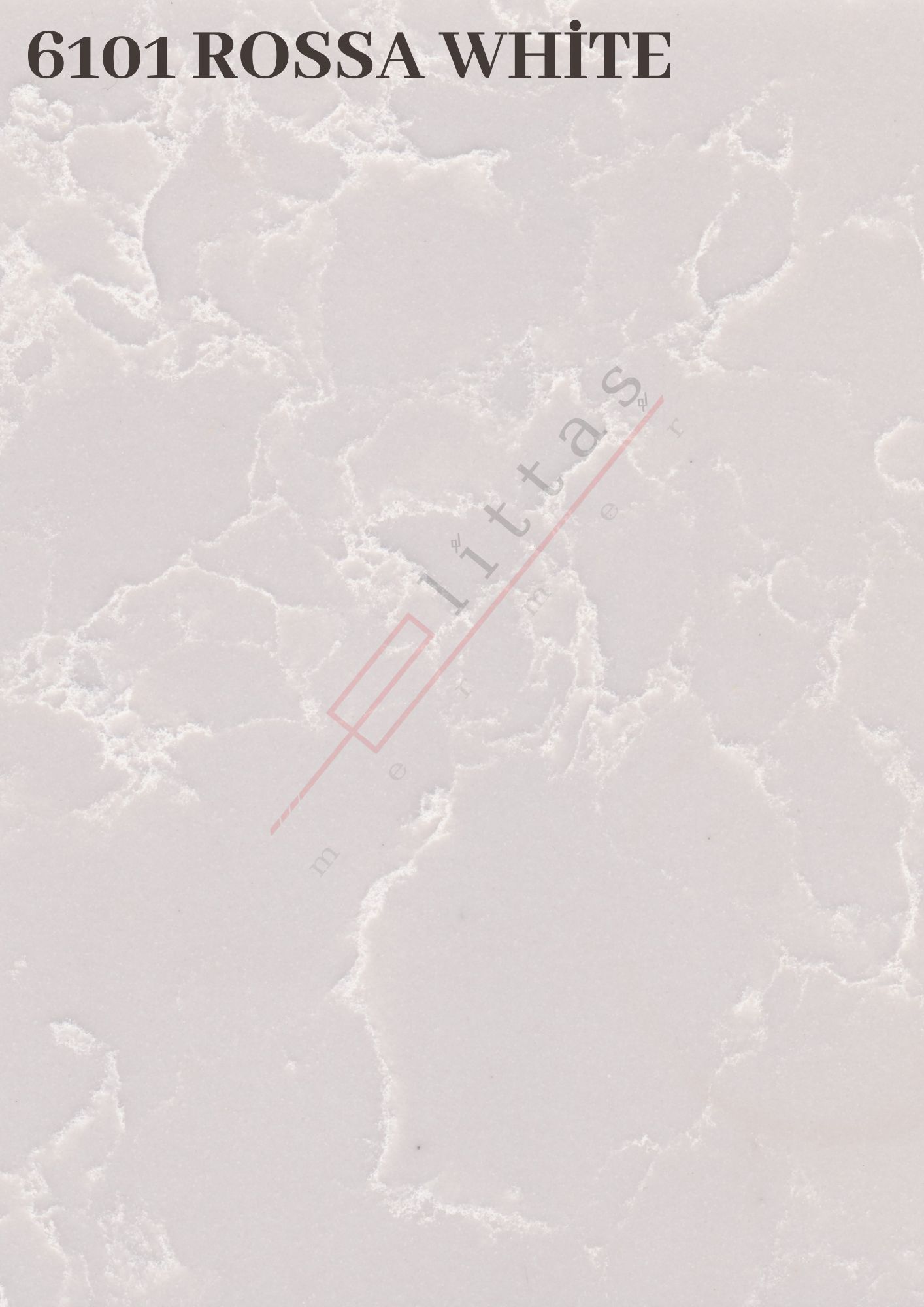 6101 Rossa White